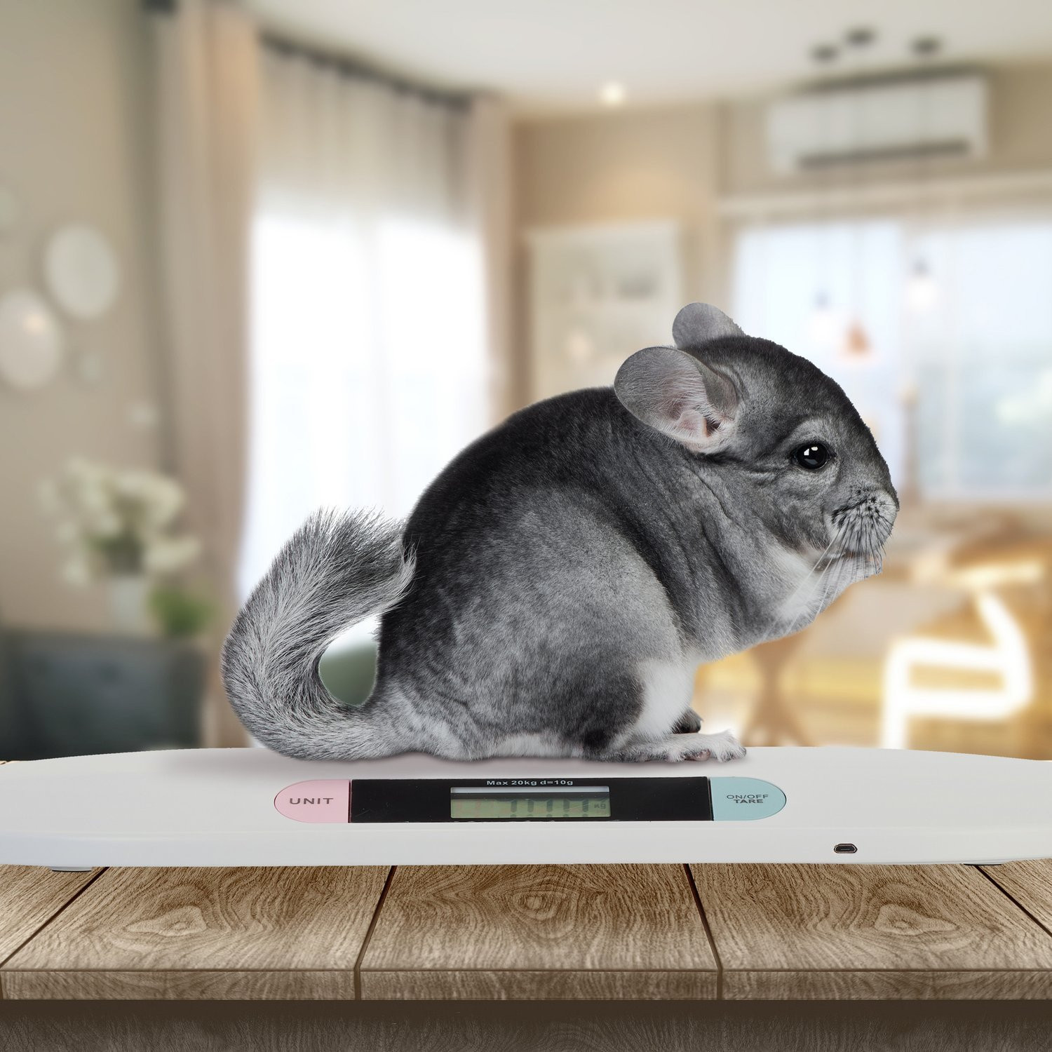 Báscula digital para bebés con cable USB