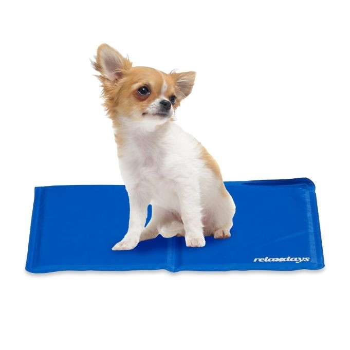 Blauwe koelmat voor honden