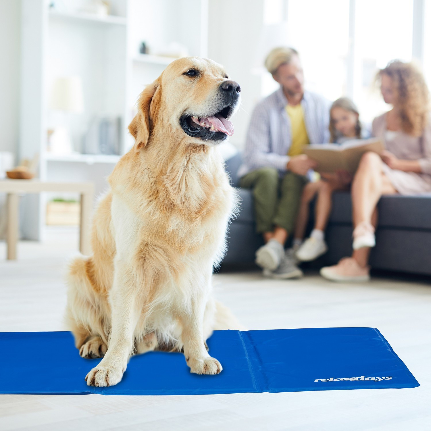 Esterilla refrescante azul para perros