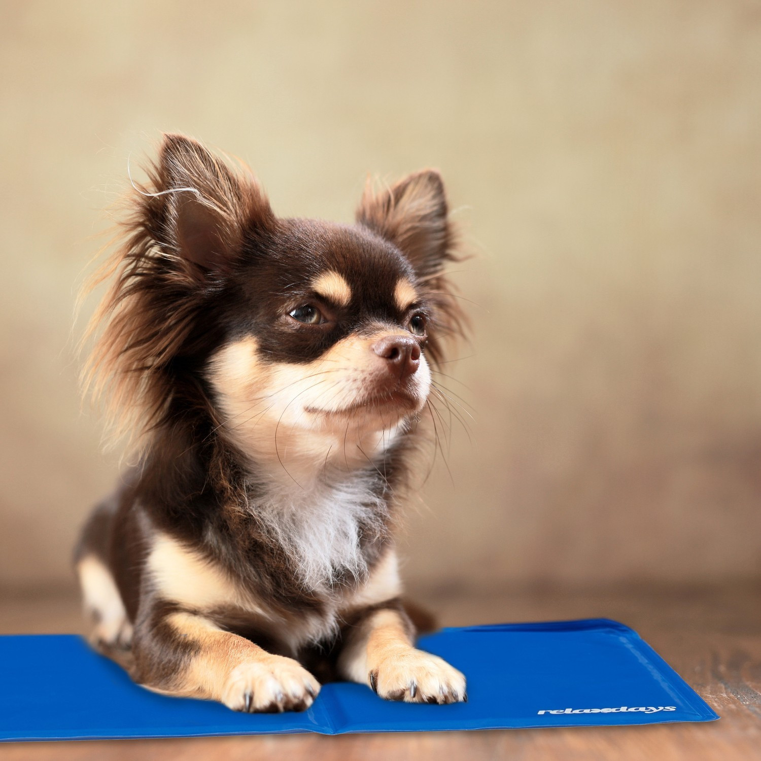 Esterilla refrescante azul para perros