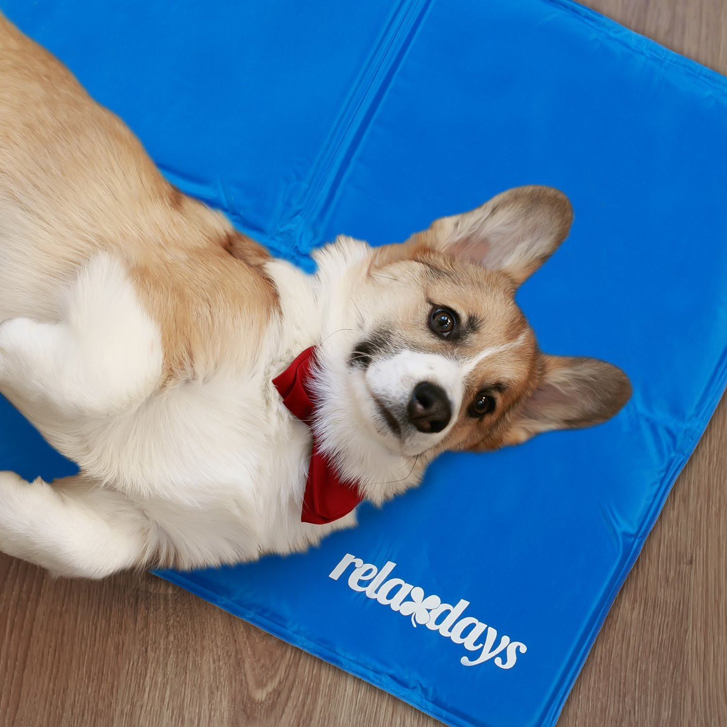 Esterilla refrescante azul para perros