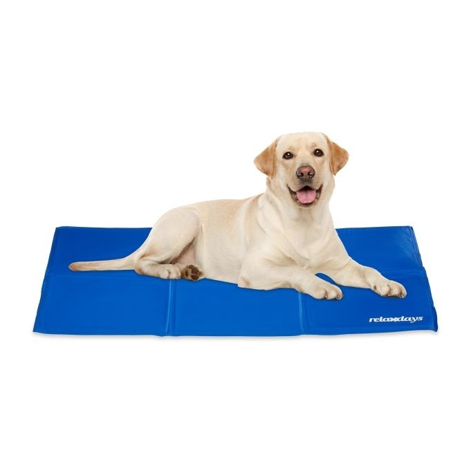 Esterilla refrescante azul para perros