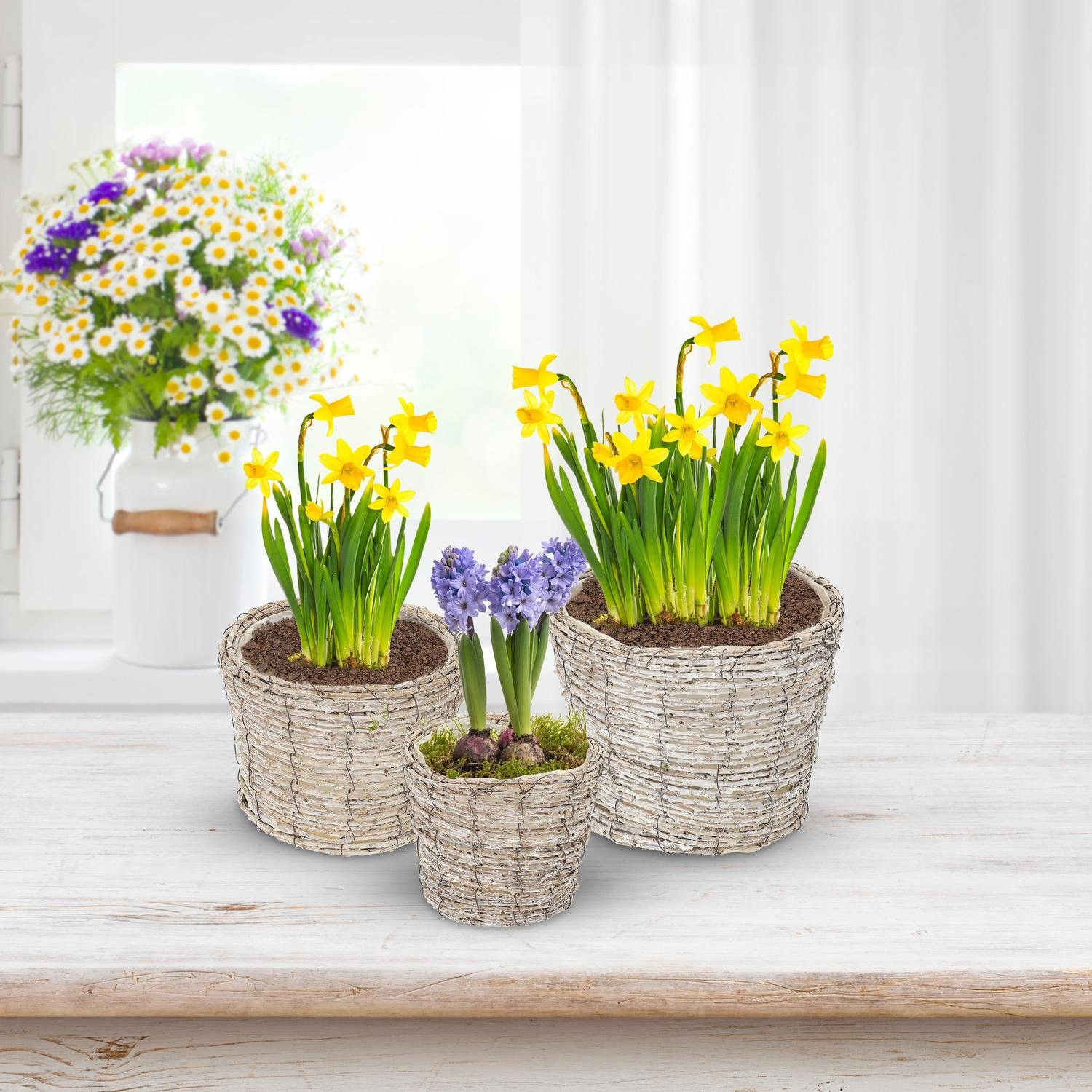 Runder Blumentopf - 3er-Set