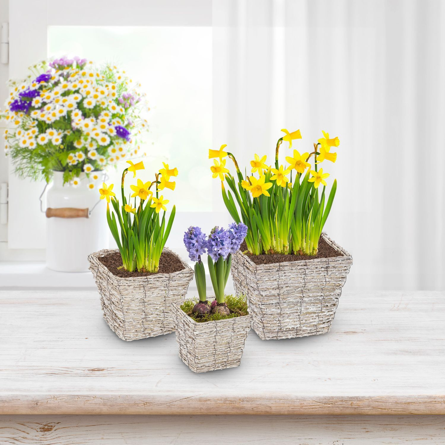 Vierkante bloempot - set van 3
