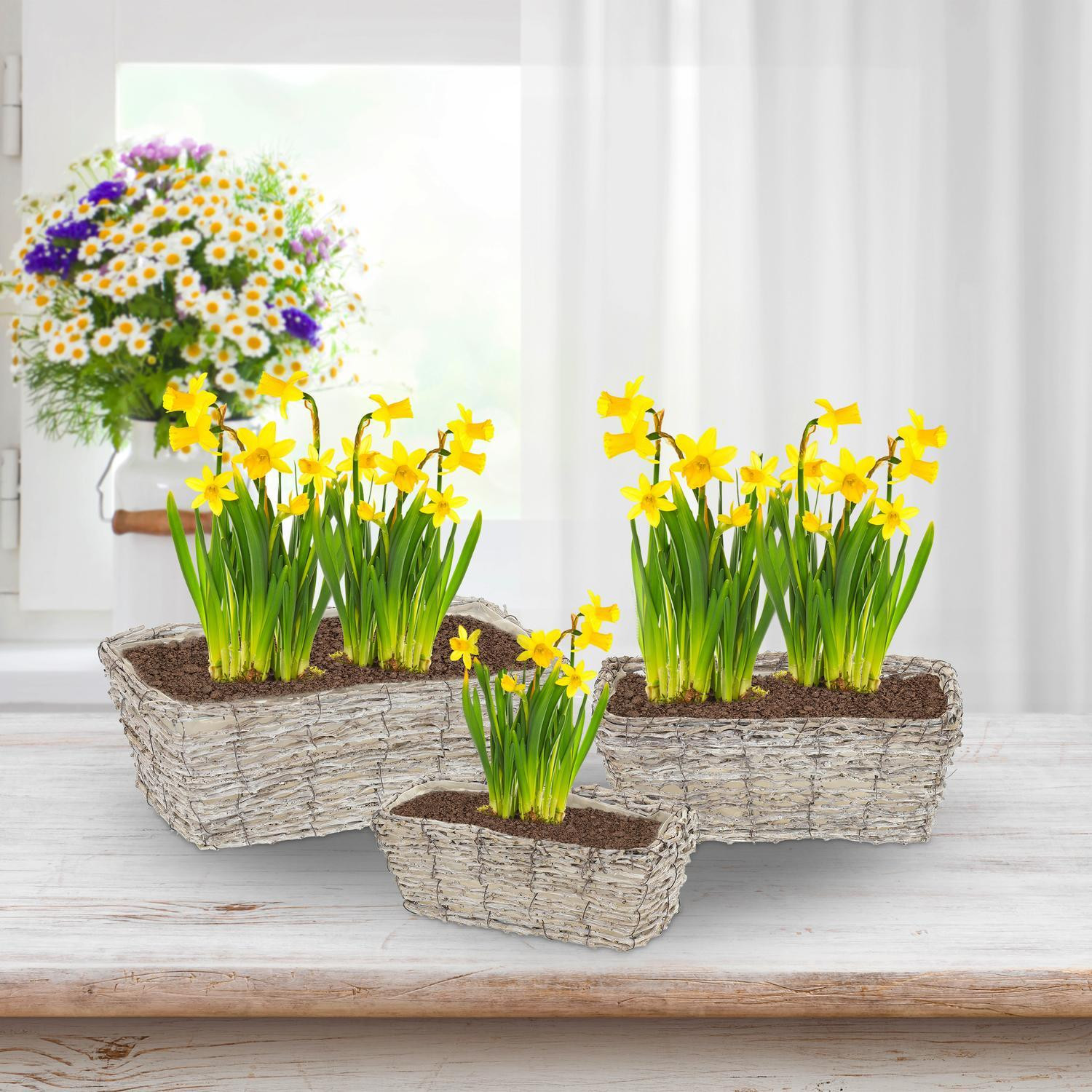 Rechteckiger Blumentopf - 3er-Set