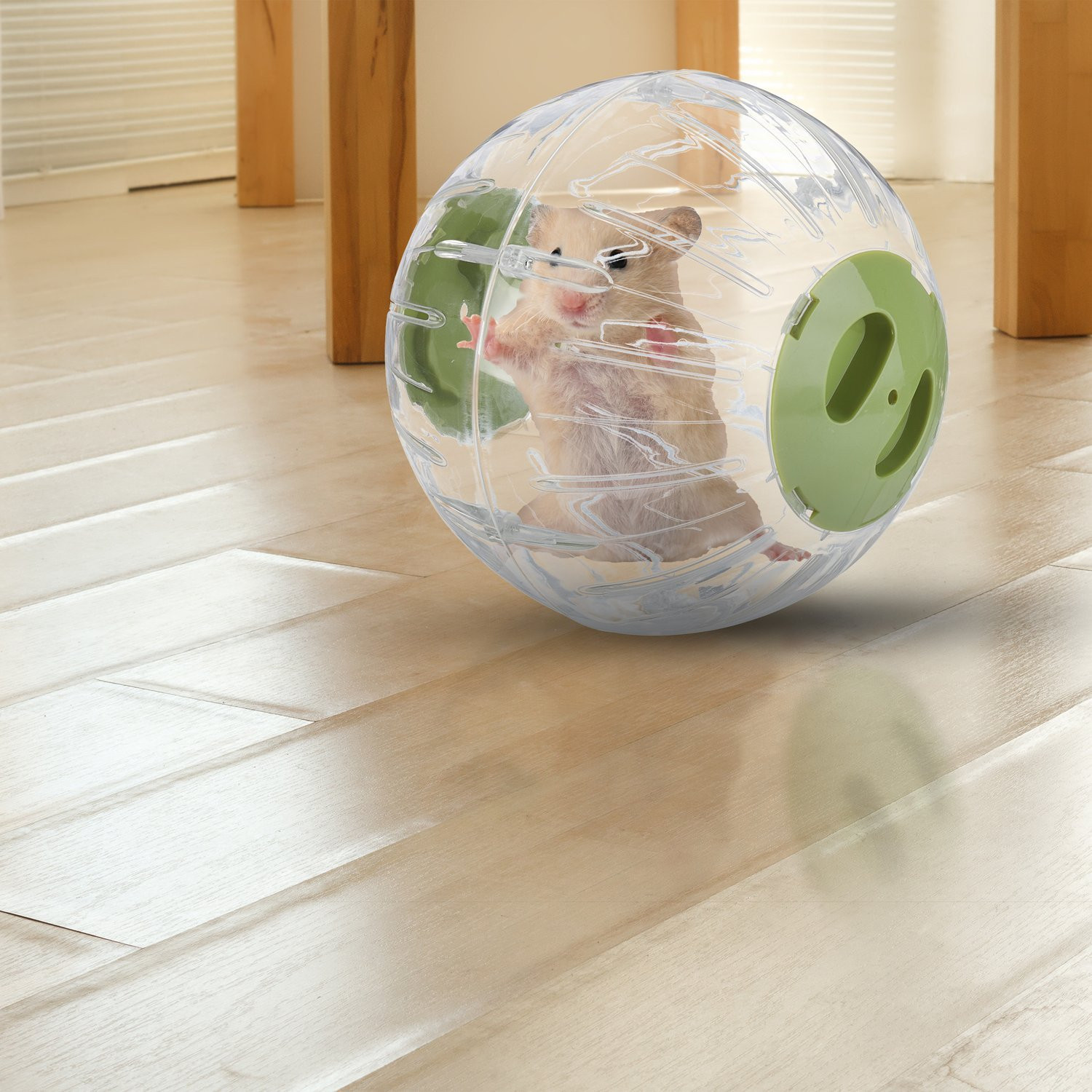 Hamsterball mit grünem Deckel