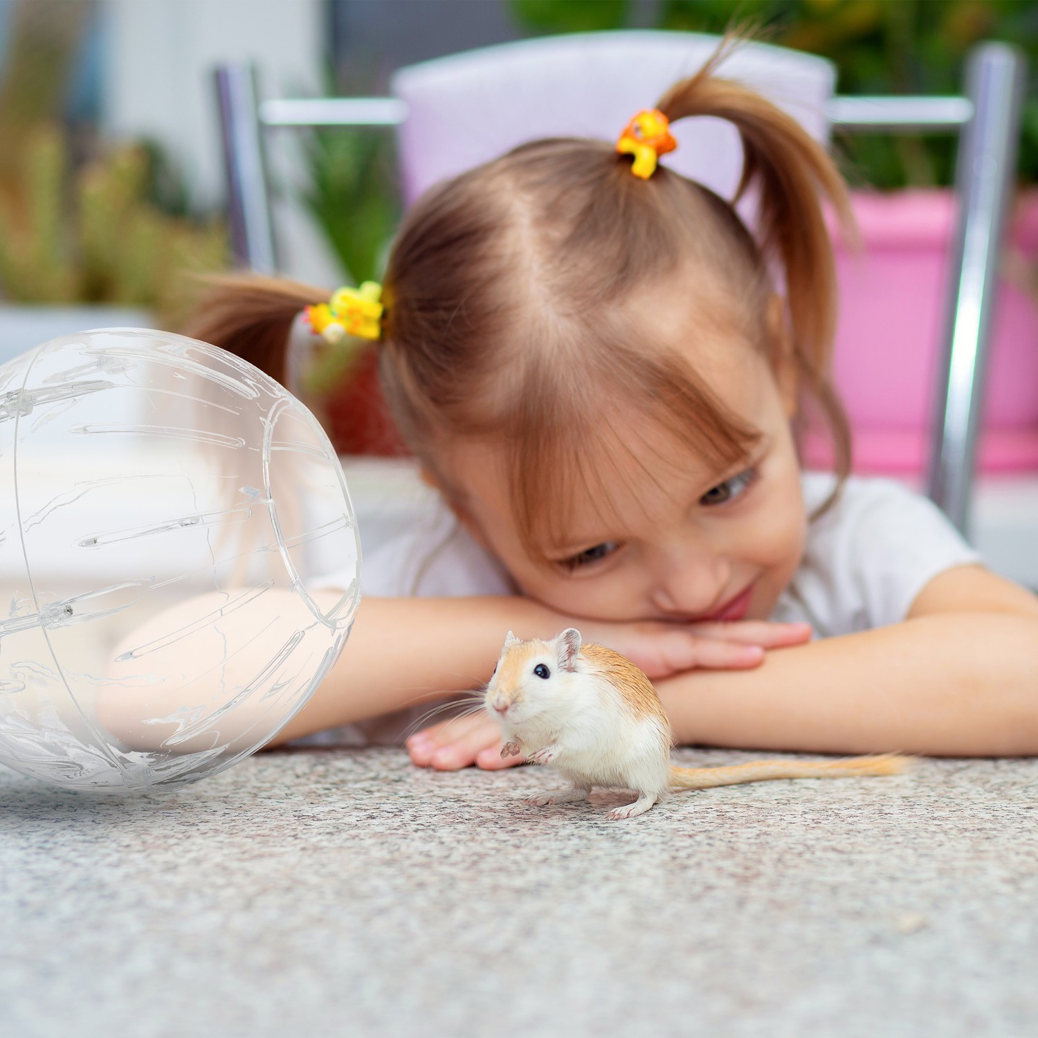 Hamsterball mit grauem Deckel