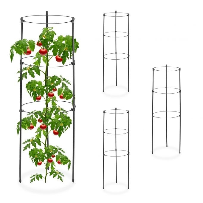 Creeper 60 cm Set di 4