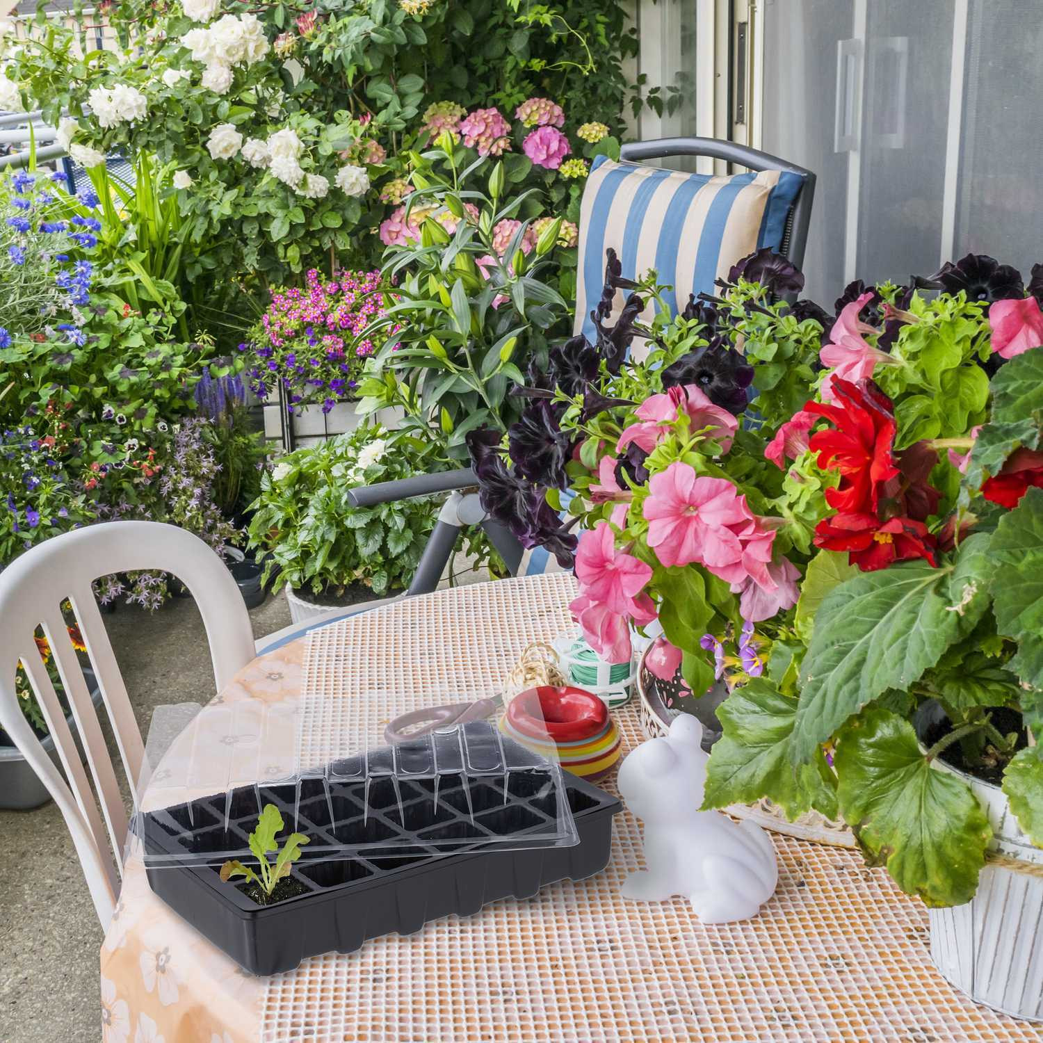 Propagator 24 trayset van 3