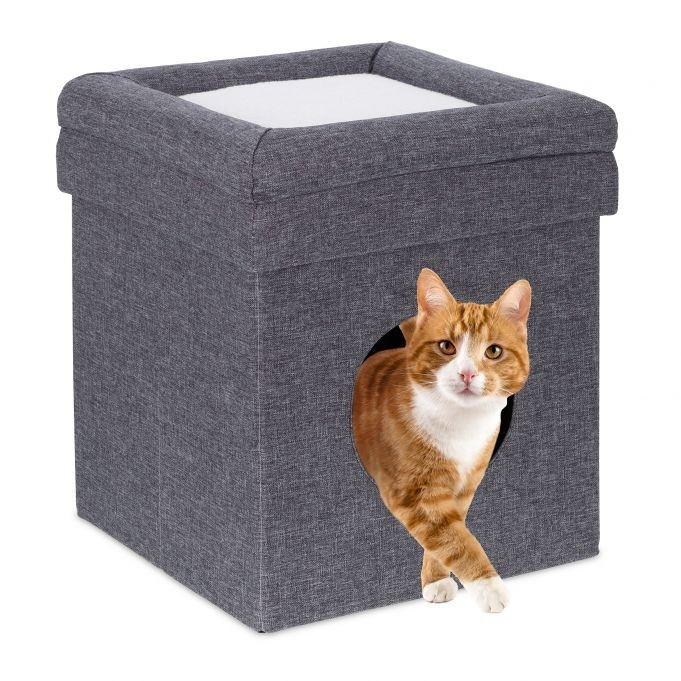 Hocker mit Katzenloch in Grau