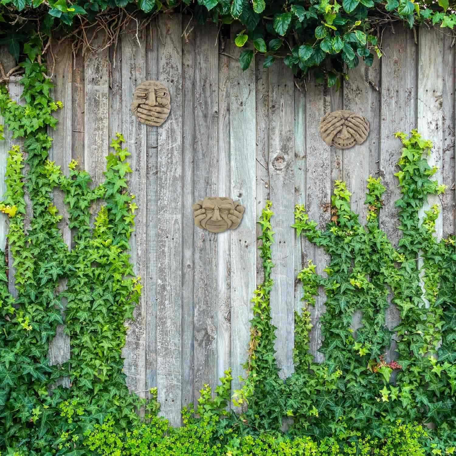 Conjunto de 3 caras de árbol