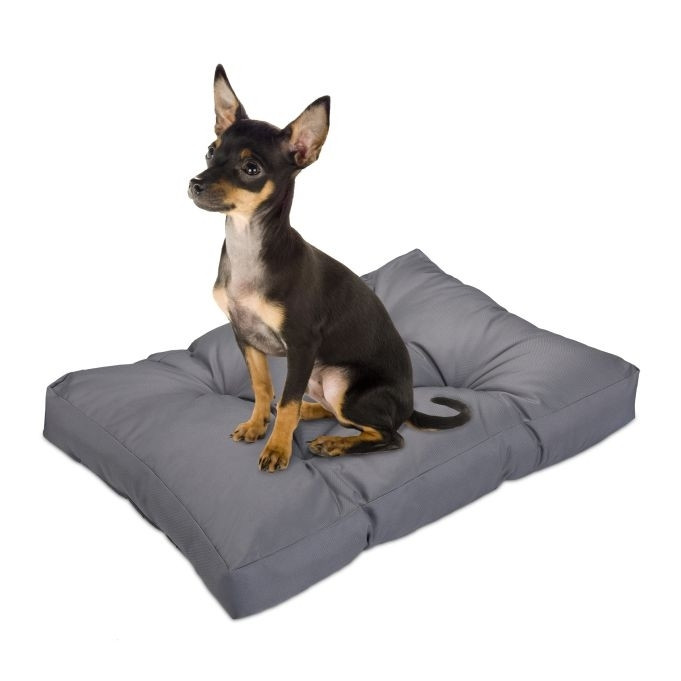 Hondenbed grijs