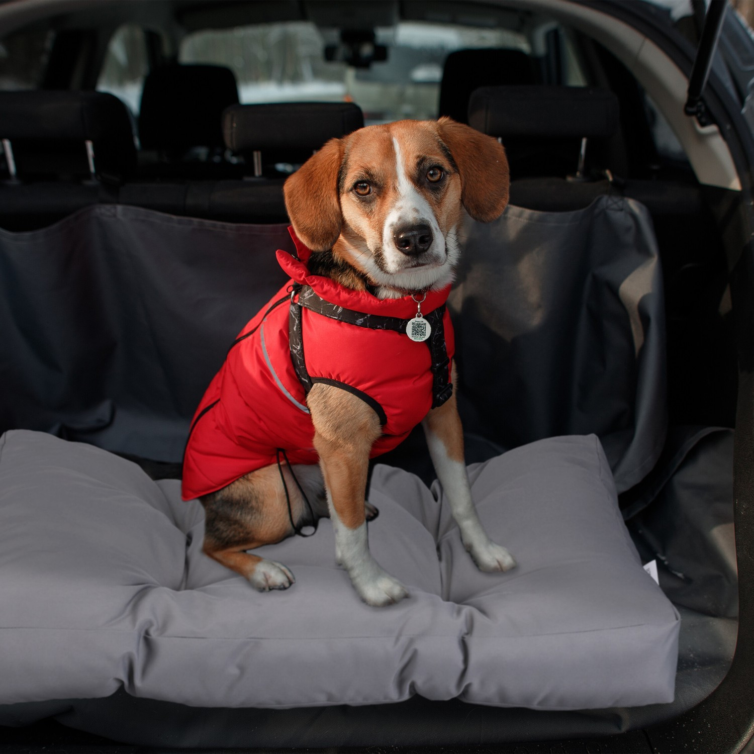 Cama para perro gris