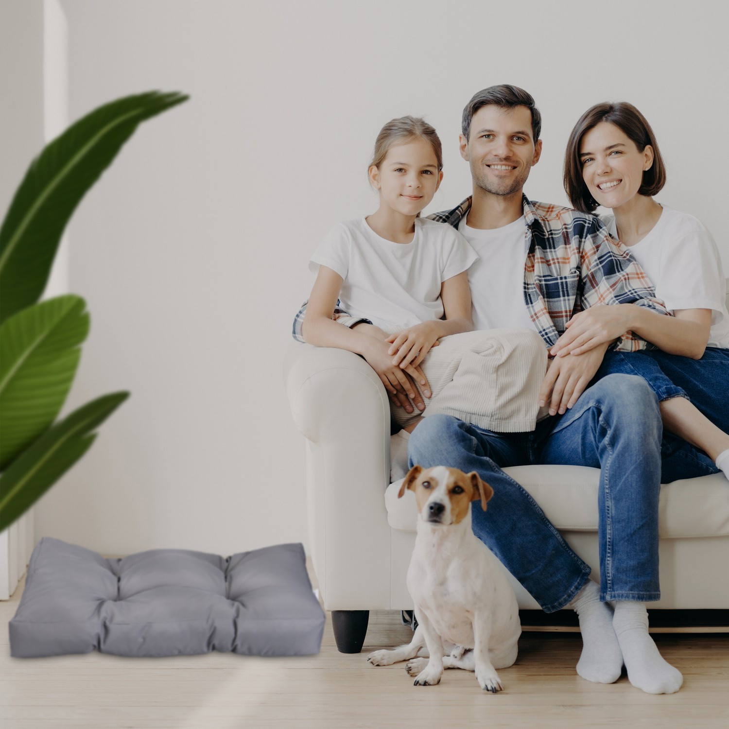 Cama para perro gris