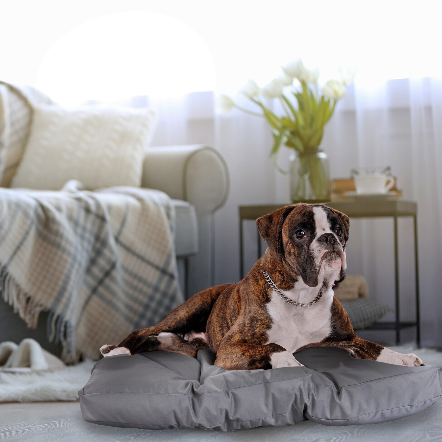 Cama para perro gris