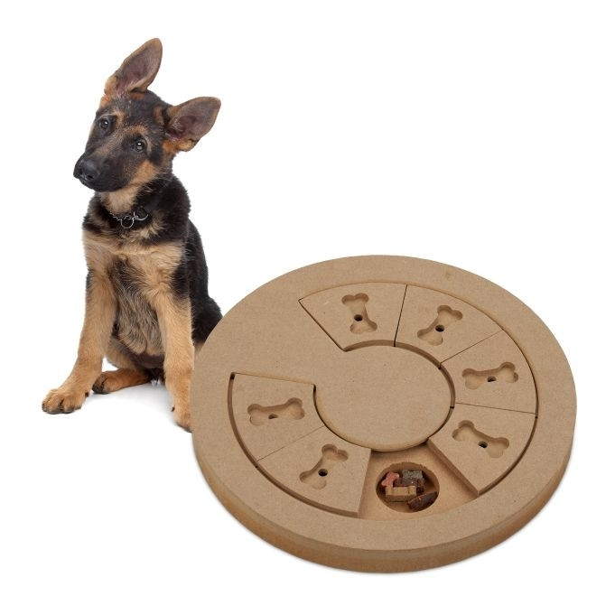 Brinquedos inteligentes para cães
