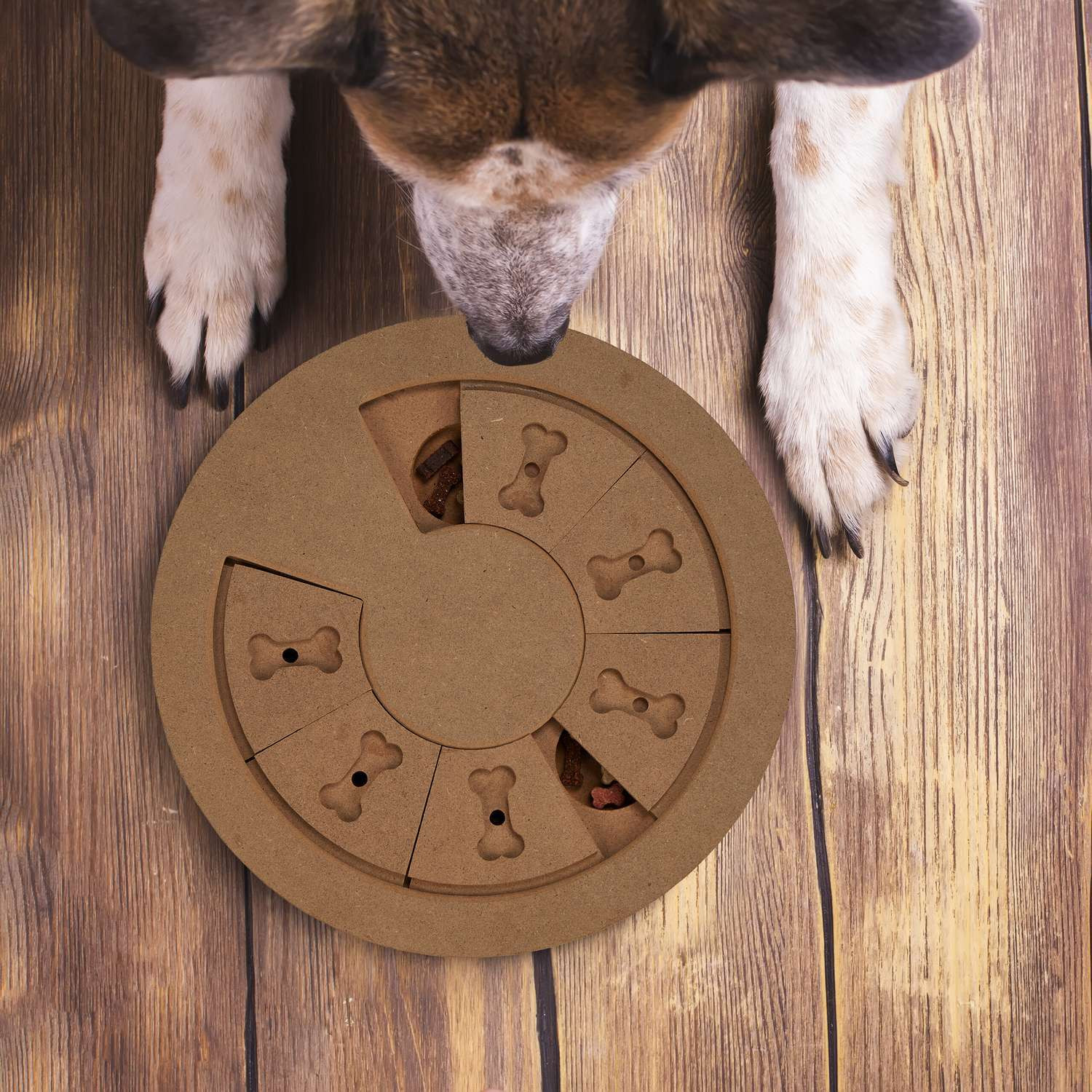 Juguetes inteligentes para perros
