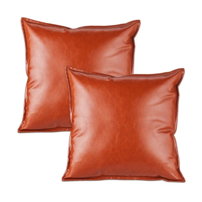 ensemble de 2 coussins aspect cuir