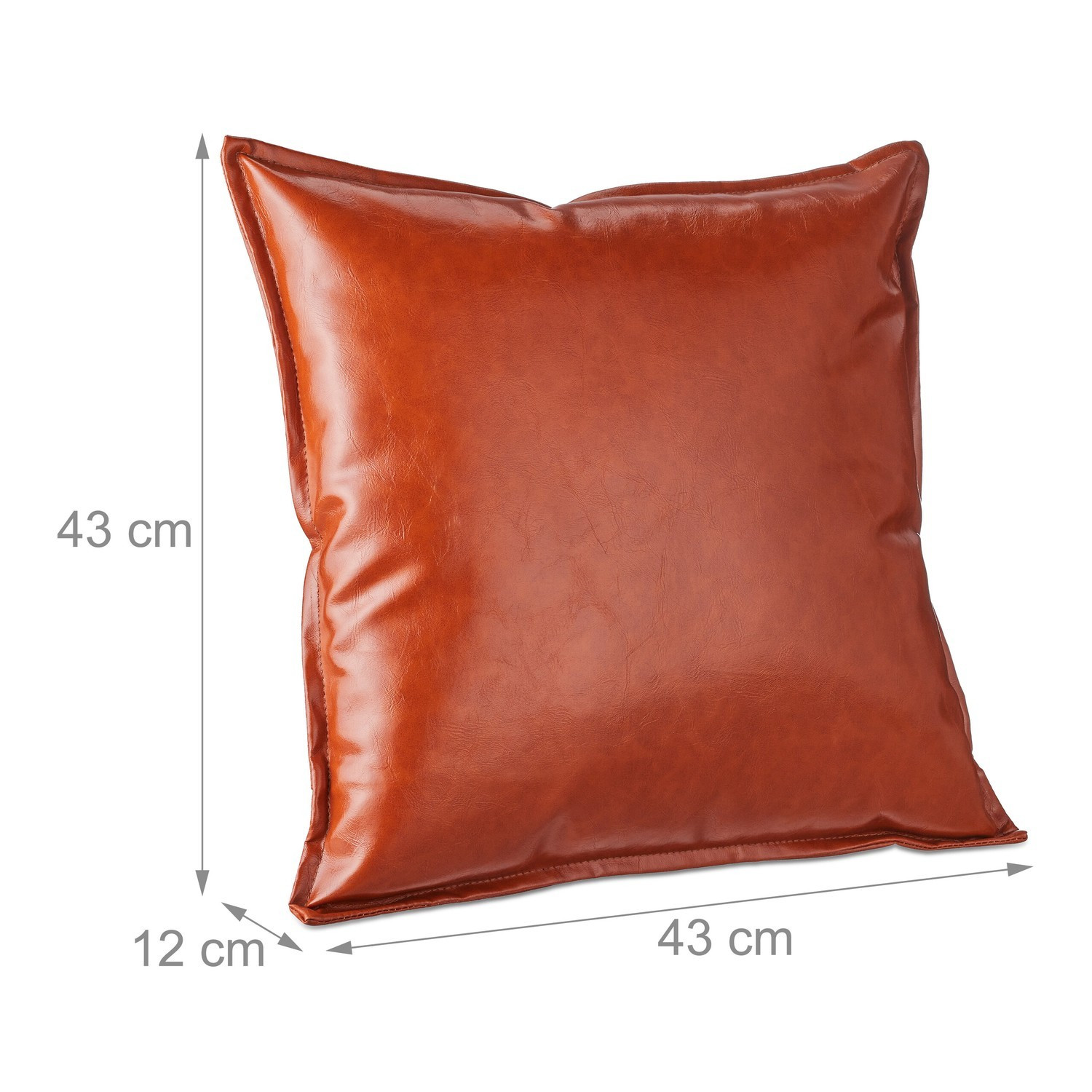 ensemble de 2 coussins aspect cuir