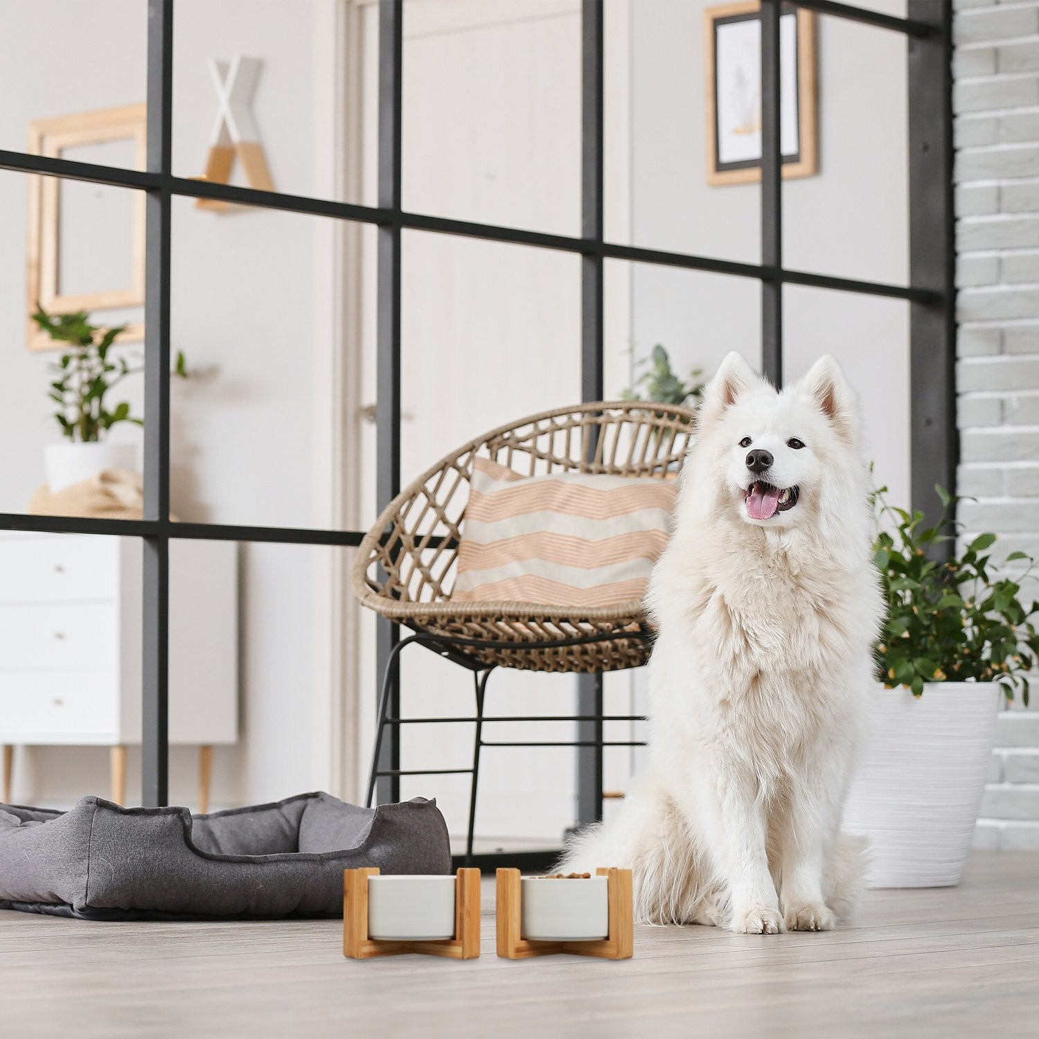 Ciotola per cani, set da 2