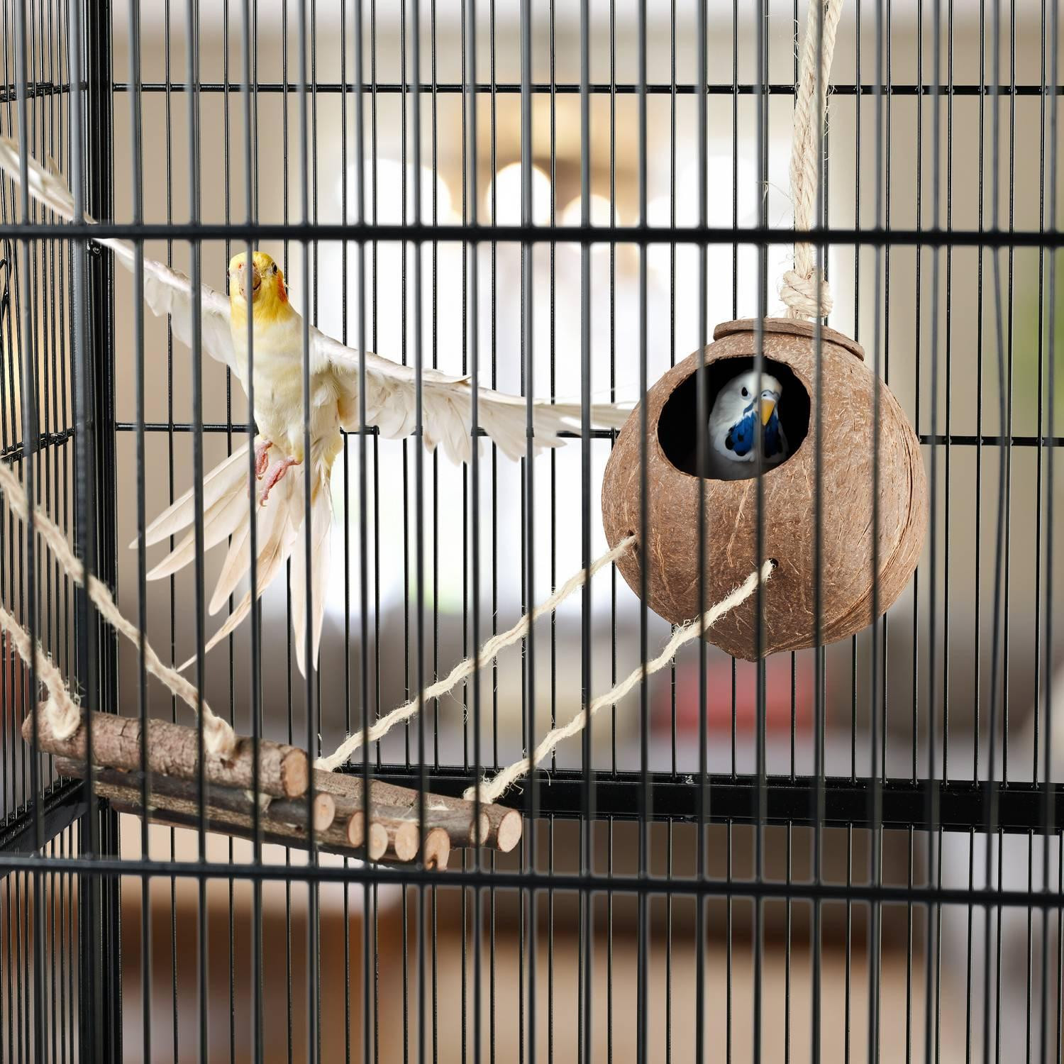 Brinquedo para pássaros com coco e escada de madeira