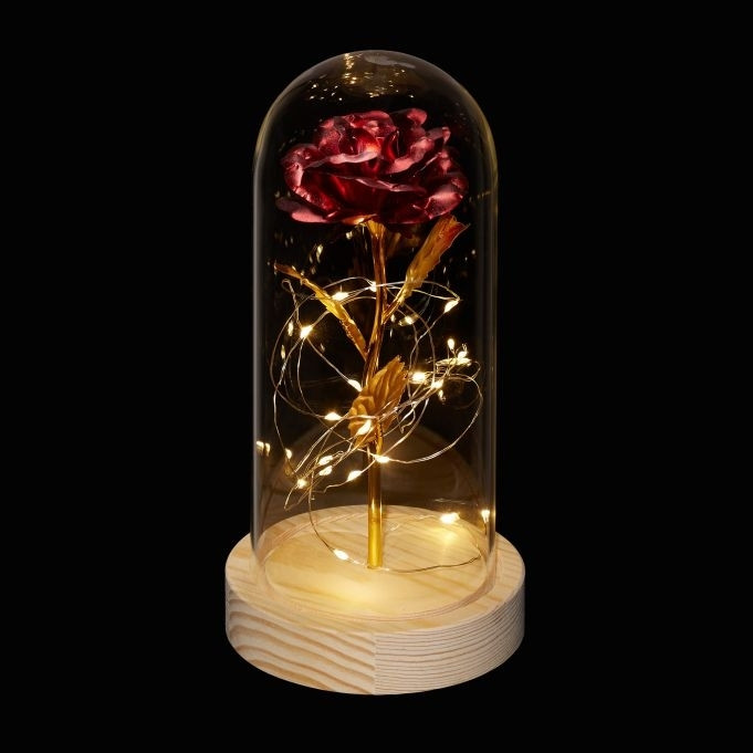 Rosa eterna em um copo