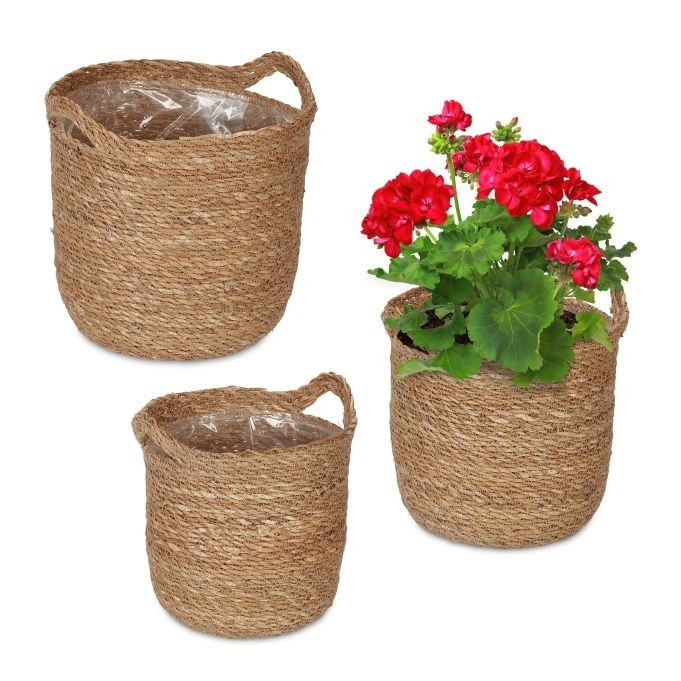 3x vaso de flores de algas com alça