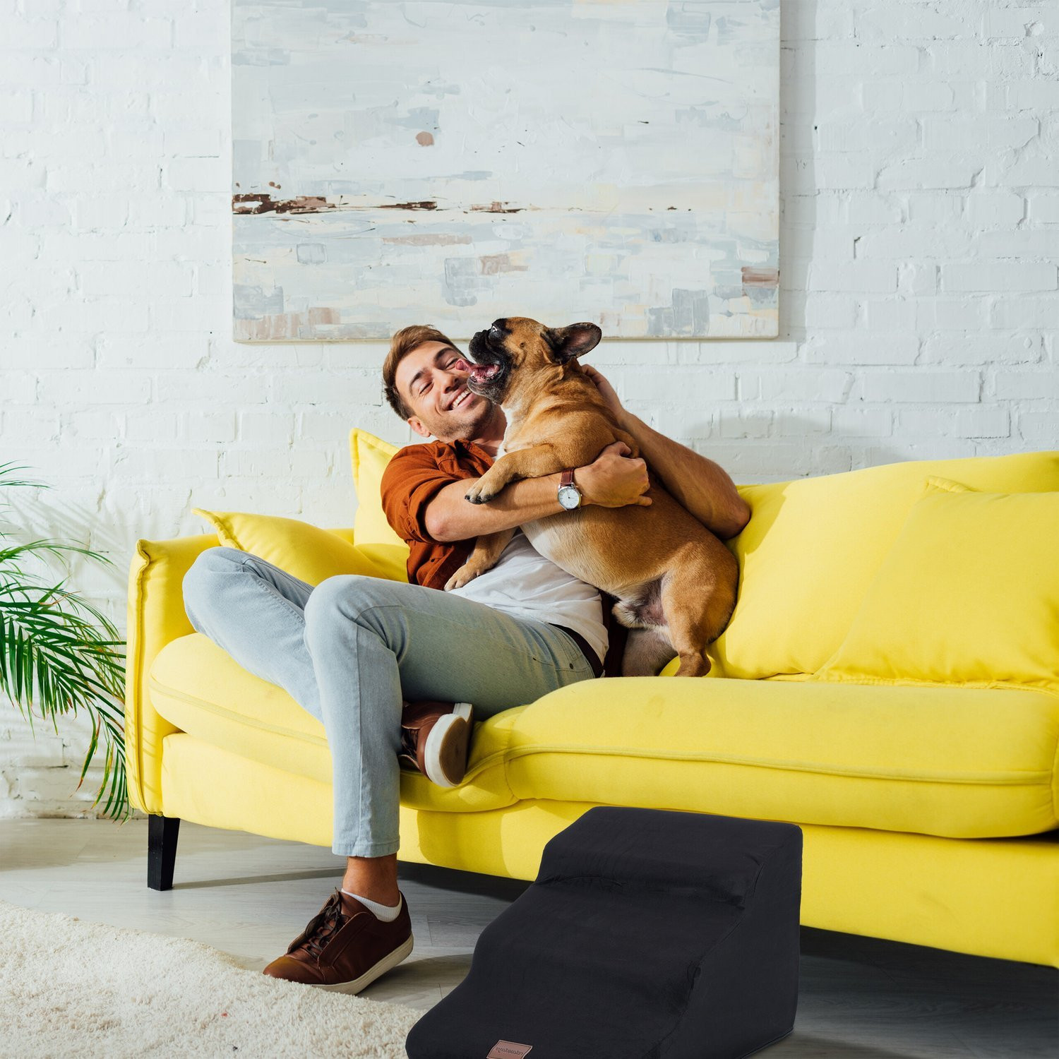 Escada para cães com 3 degraus