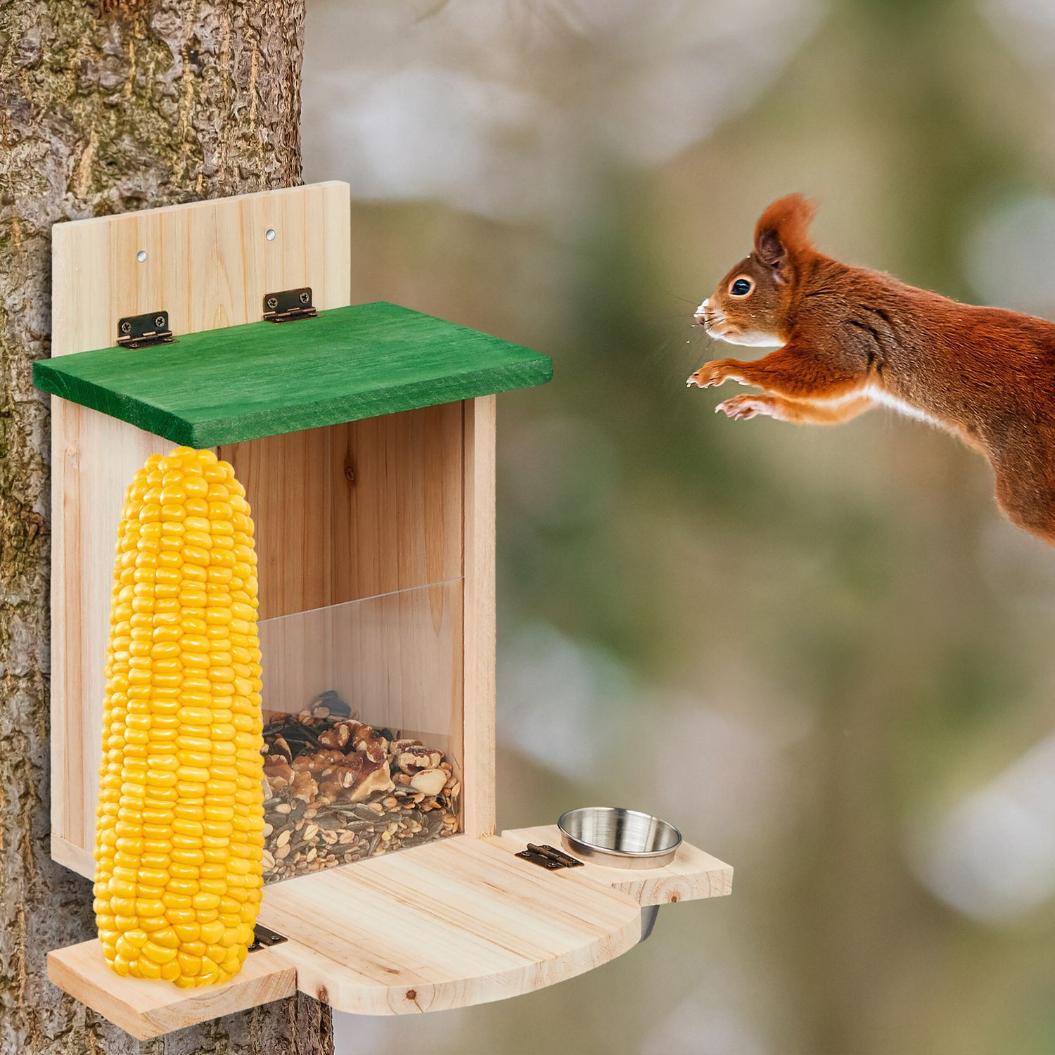 Casa para alimentar esquilos