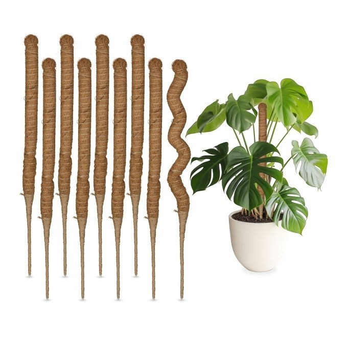 Palitos de coco 60 cm