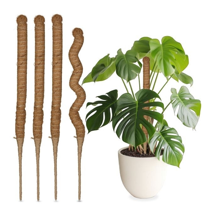 Bâtonnets de noix de coco 60 cm