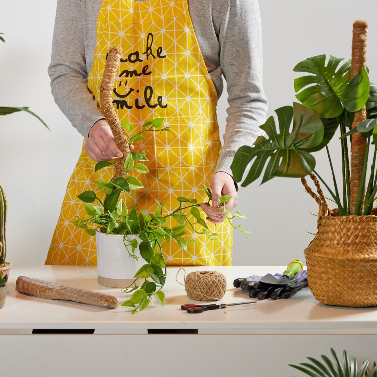 Bâtonnets de noix de coco 60 cm