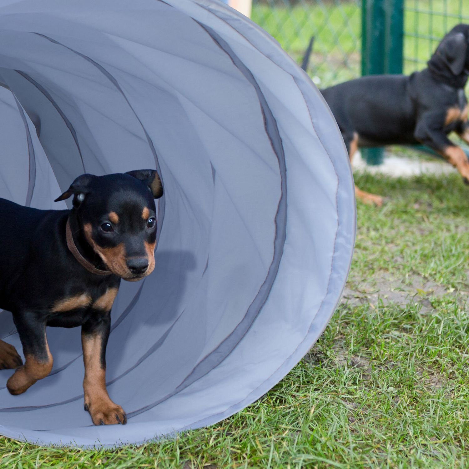 Tunel agility pre psa 3m