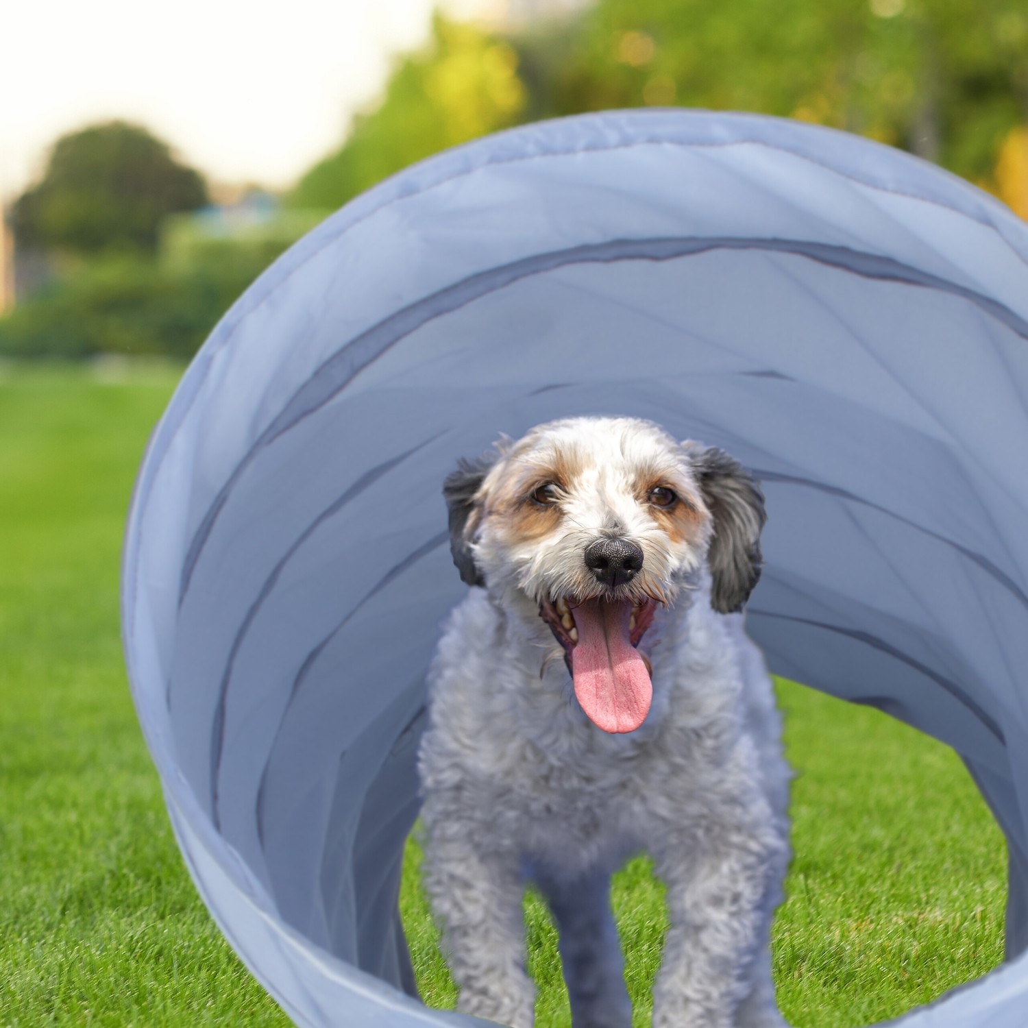 Tunel do agility dla psów 3m