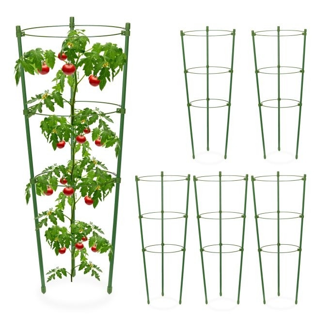 Trellis 45 cm set van 6