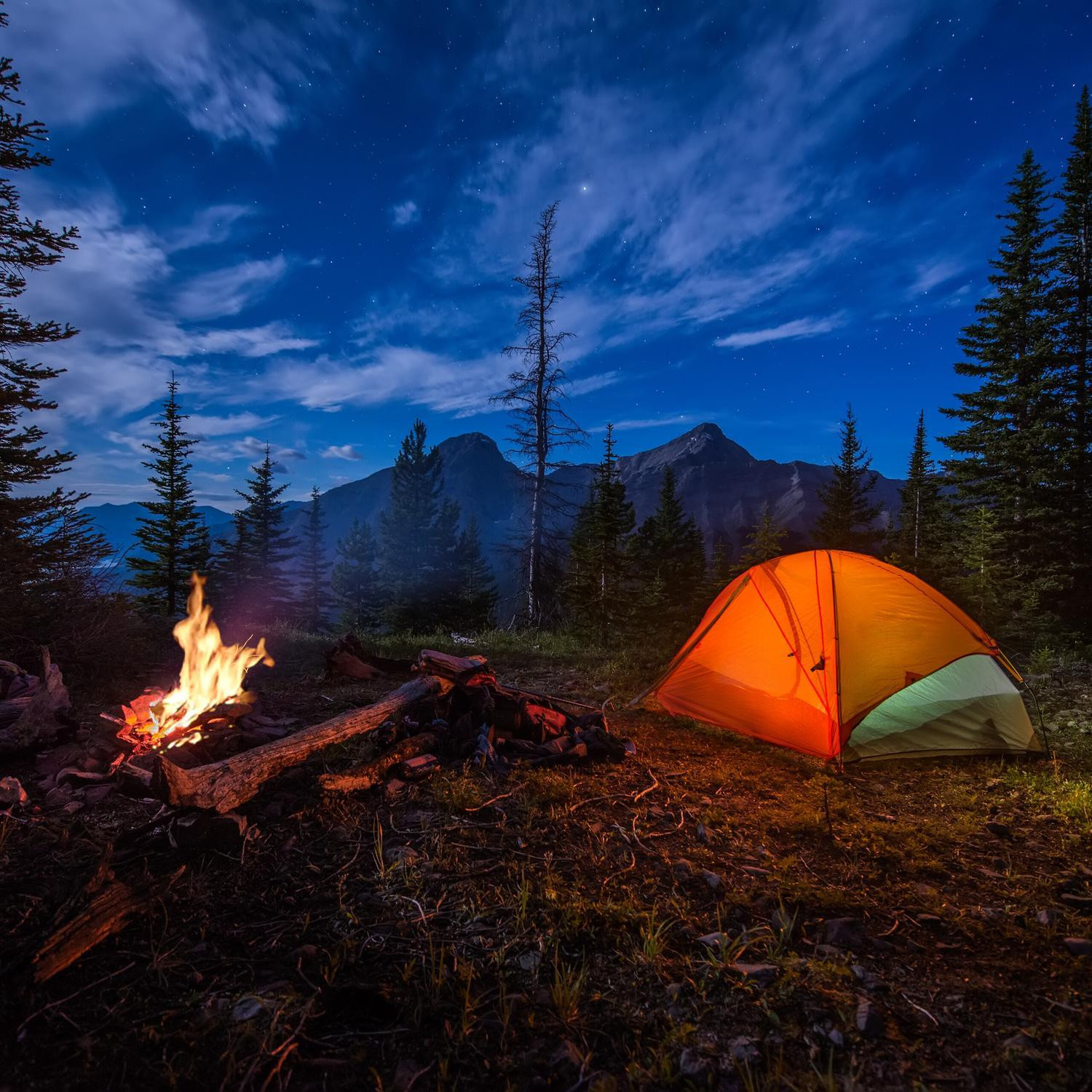 Haringen set van 100 stuks