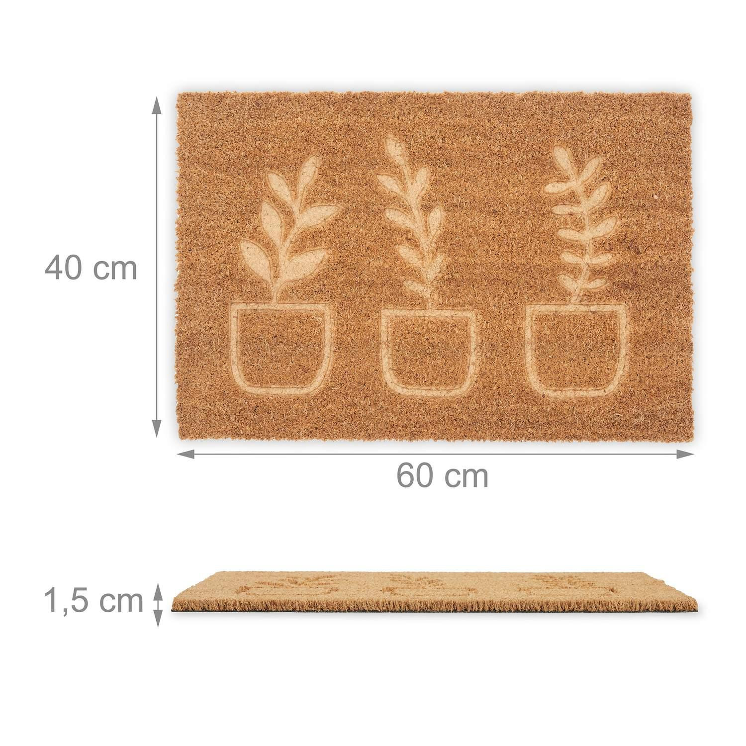 Plantas de capacho de coco