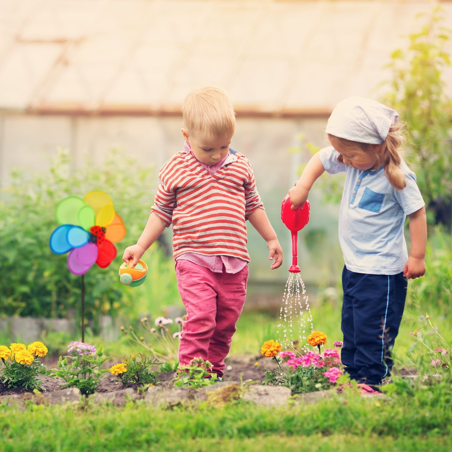 3x veterník s lienkou