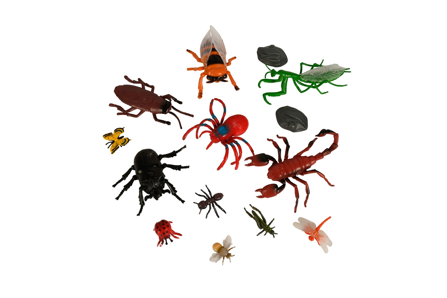 Insect World 21 Ks Set