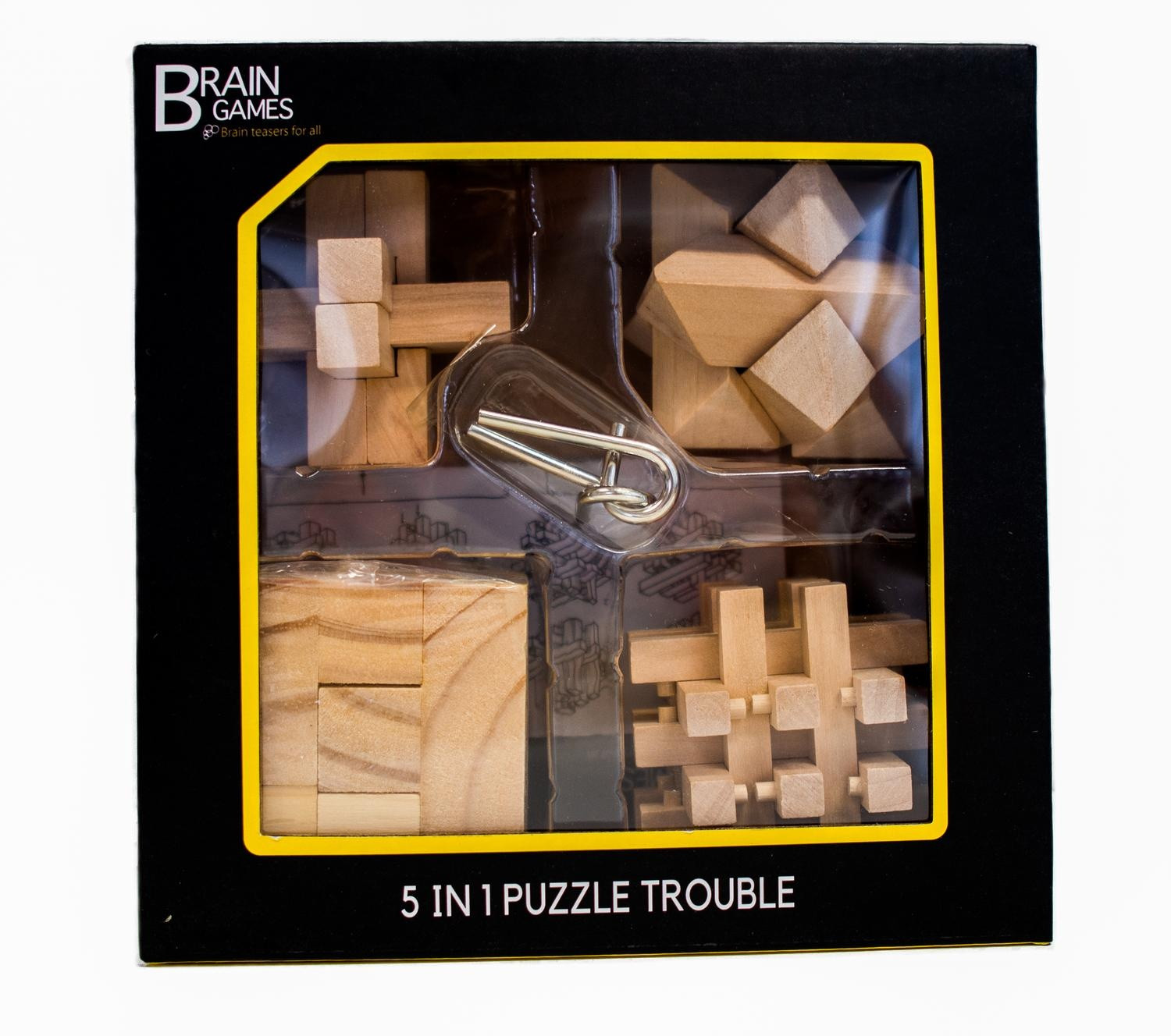 Hersenspellen 5-in-1 puzzel