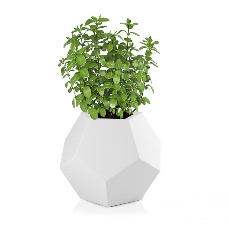 Pote de design ALMA Branco
