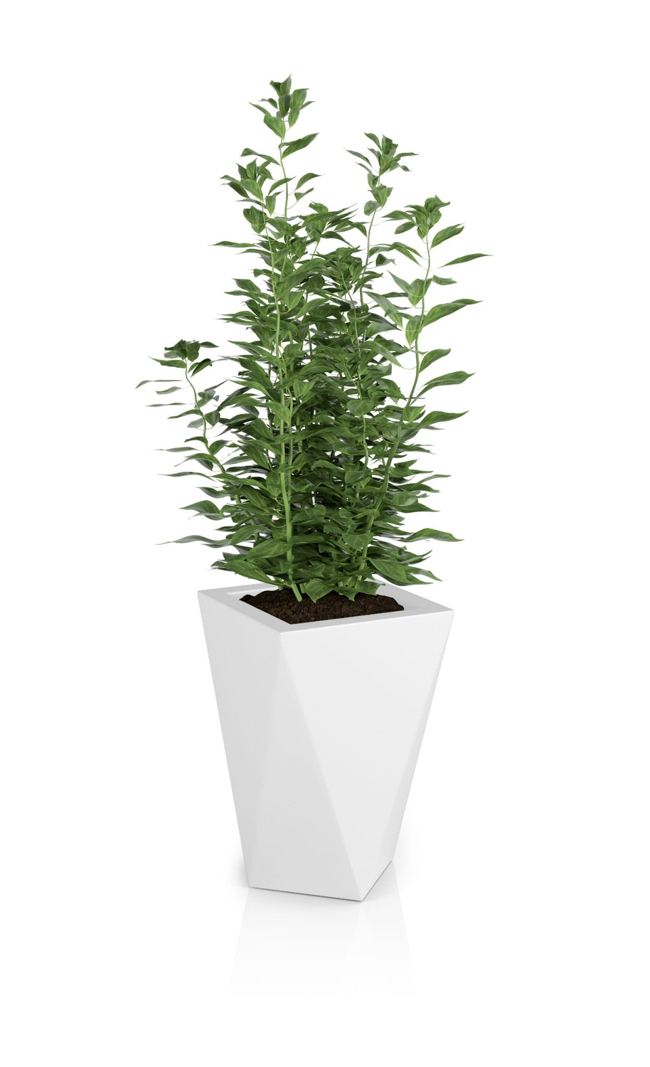 Pot design VASO Blanc