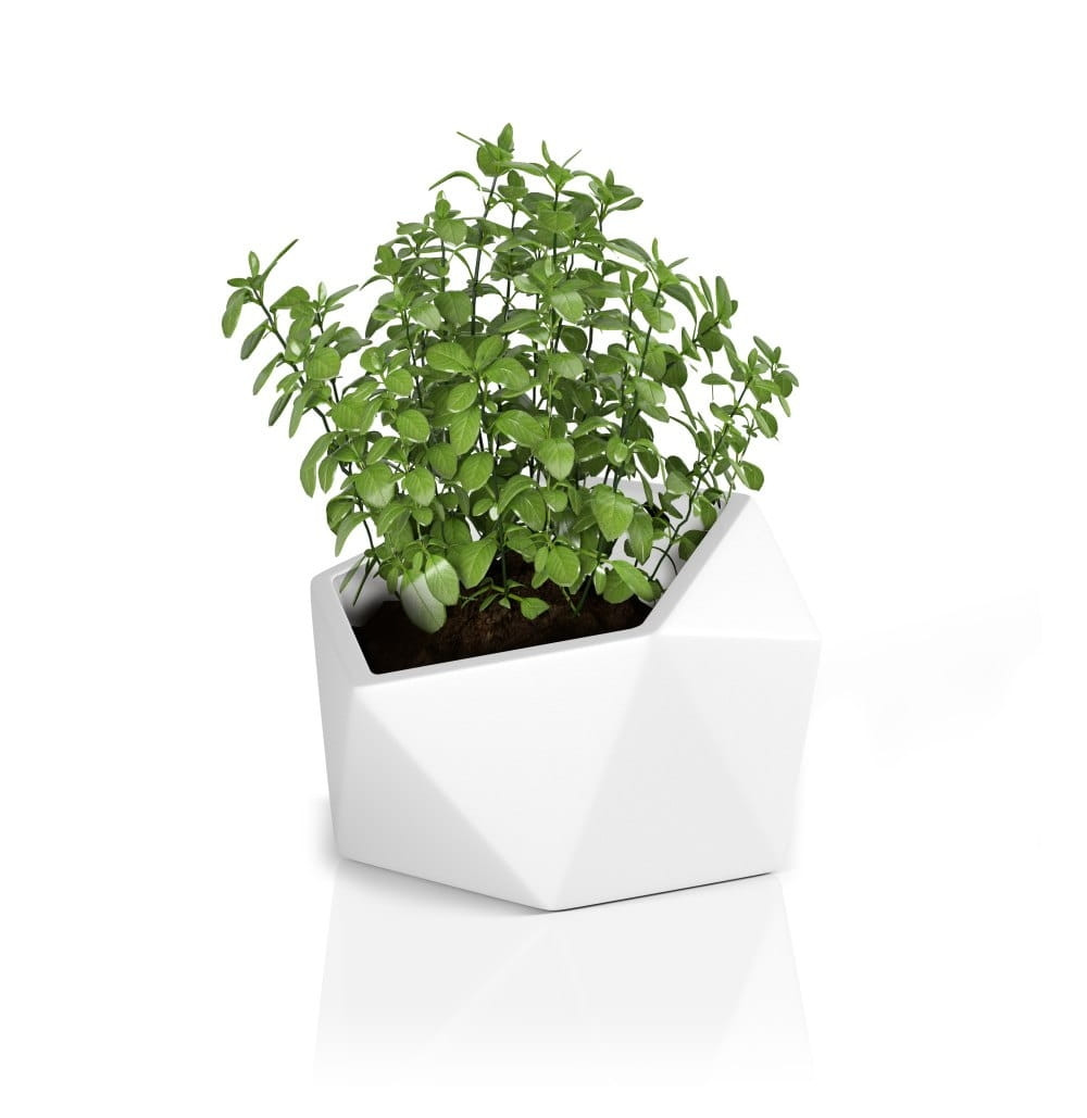Designpot VESARI Wit