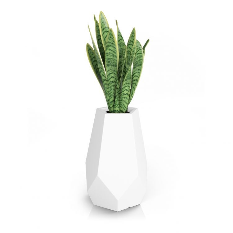 Designpot BARI Wit