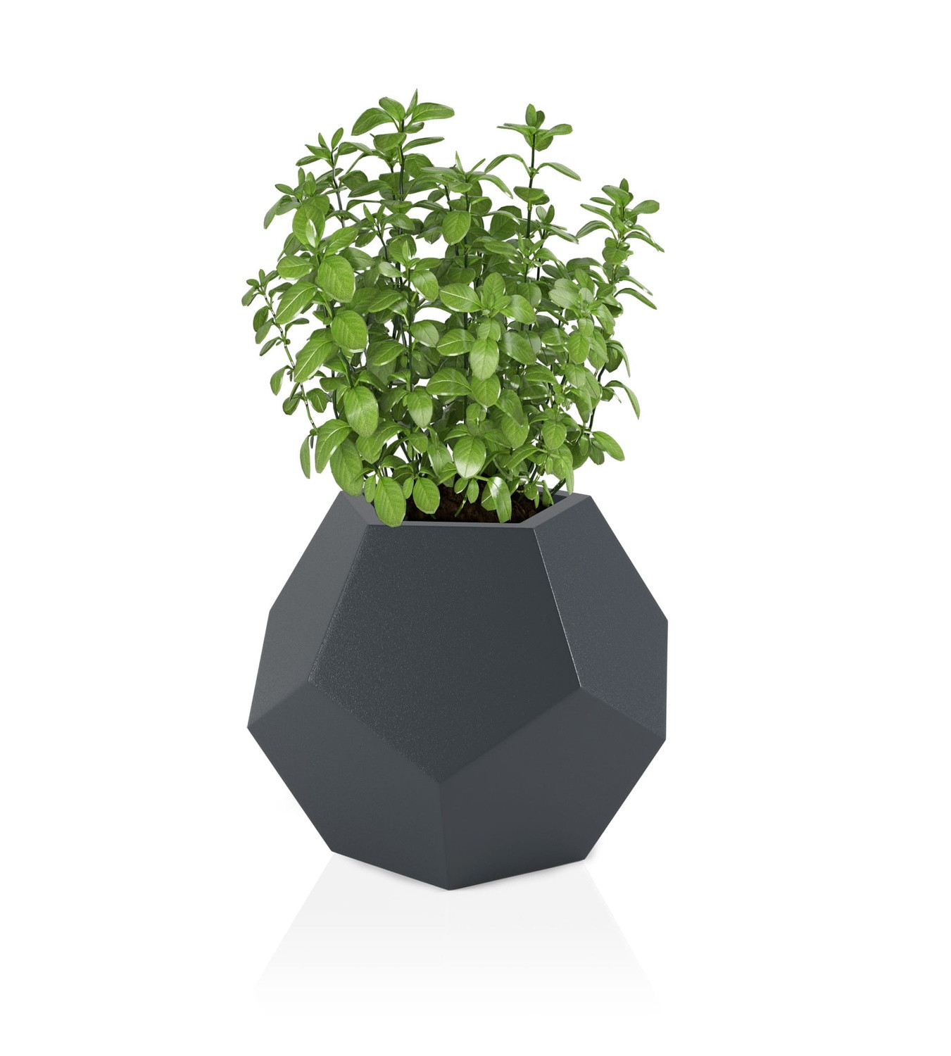 Pot design ALMA Anthracite