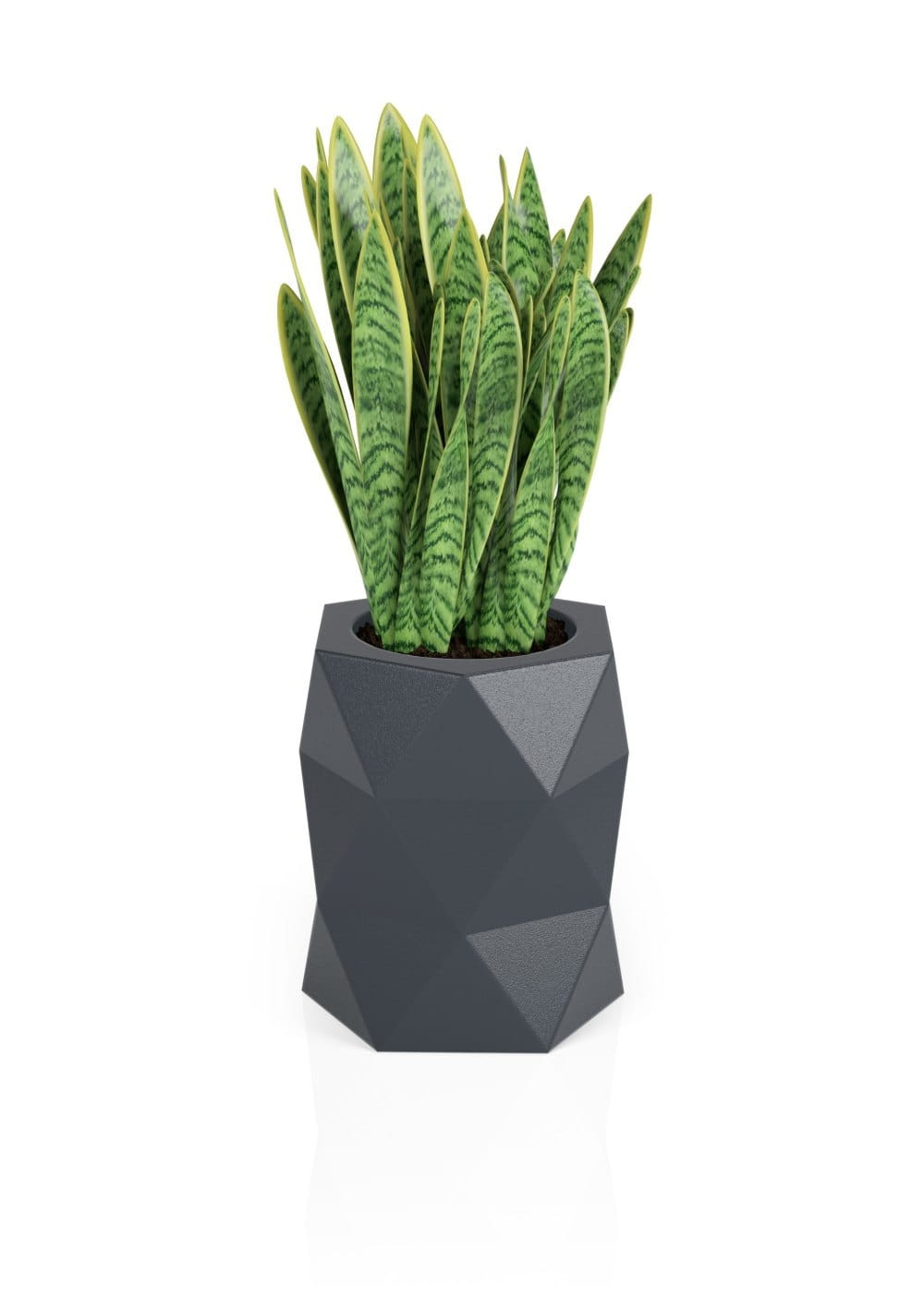 Pote de design MODENA Antracite