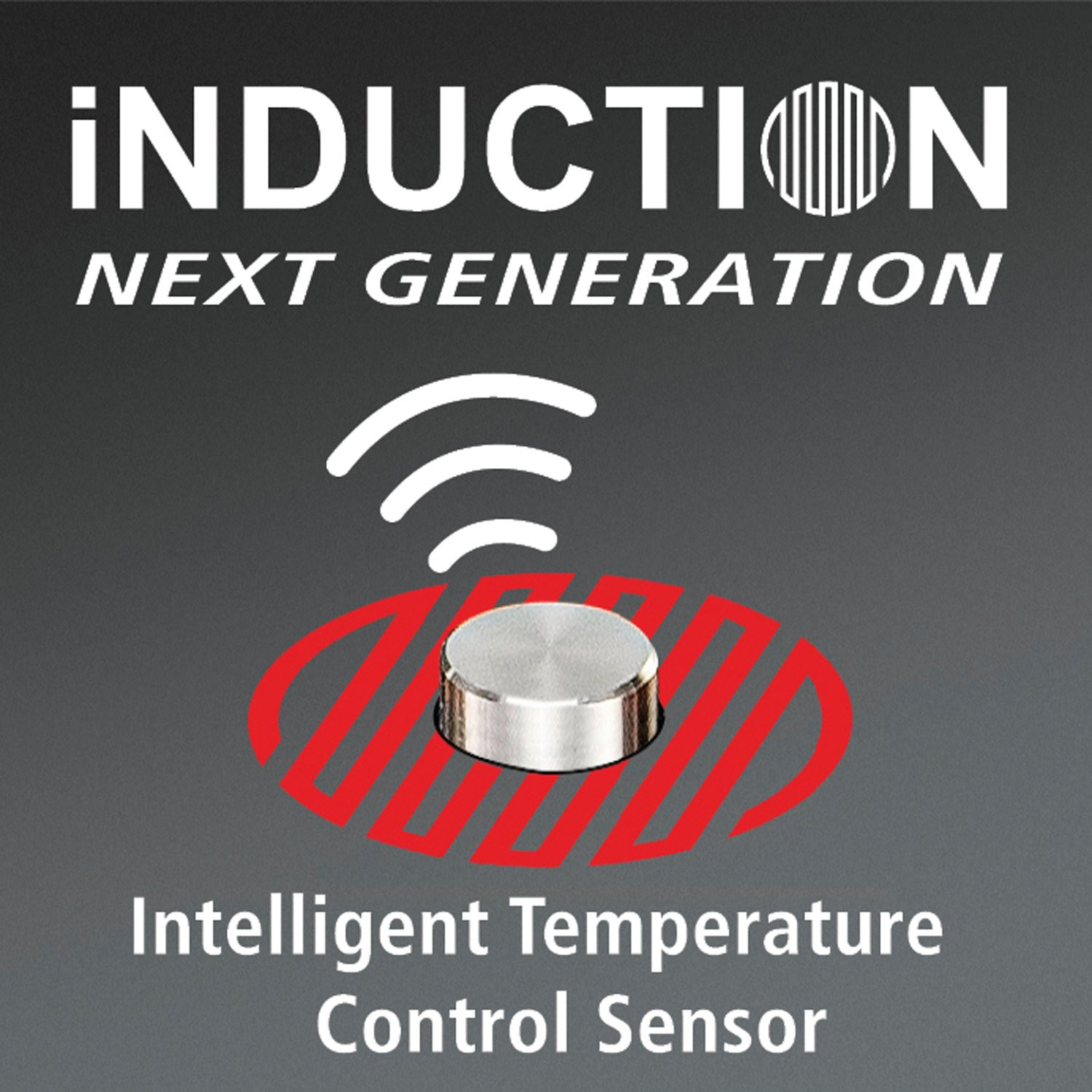 Induktionsplatte mit Temperatursensor CTS 2000/IN Touch Control