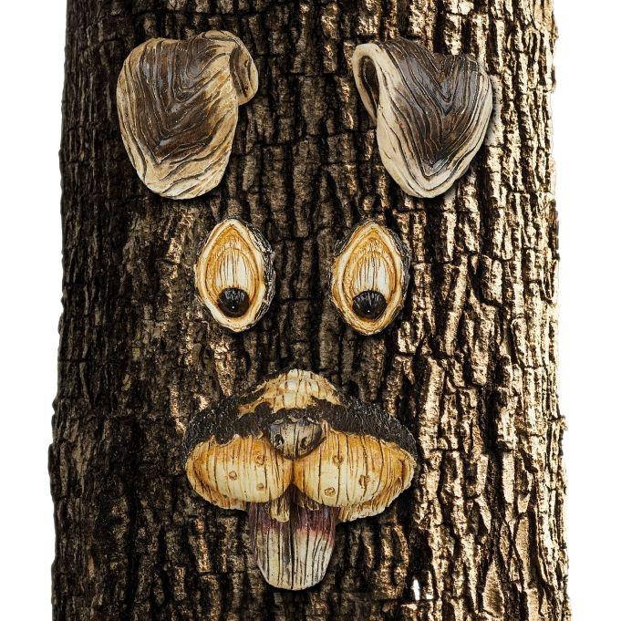 Conejo cara de árbol