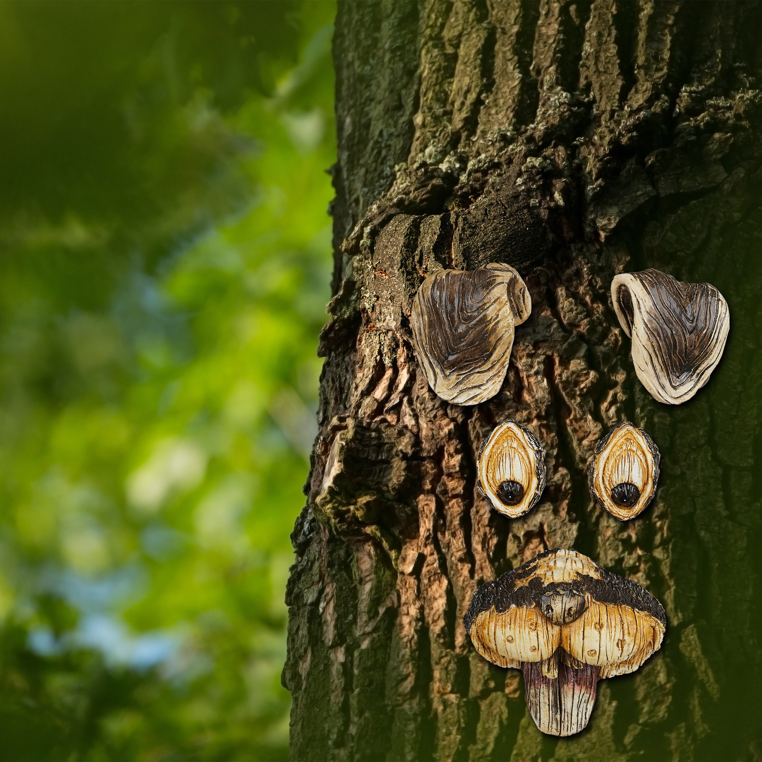 Baumgesichtskaninchen