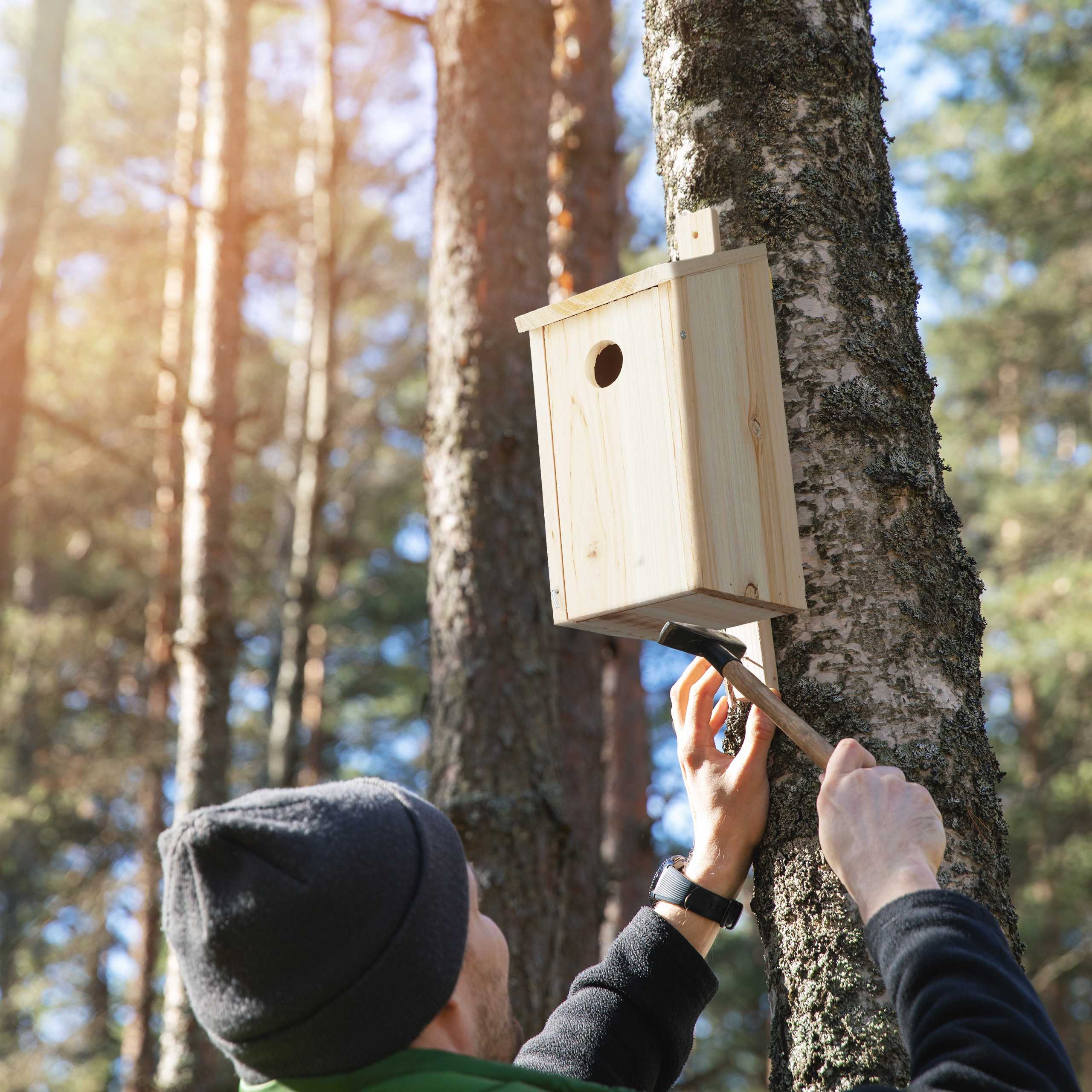 Hanging Wooden Nesting Box